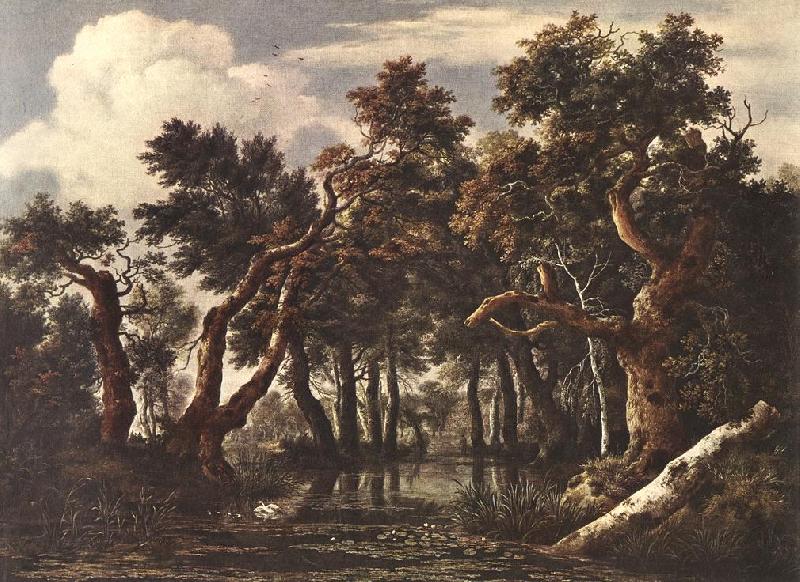 Jacob van Ruisdael The Marsh in a Forest